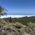 La Palma